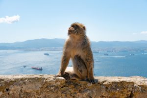 UK agrees landmark deal on Gibraltar – here’s how the travel rules work