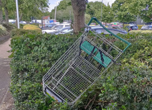 Counting the costs of abandoned shopping trolleys in the UK