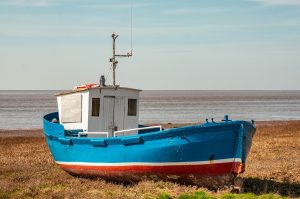 Half the UK’s fish stocks are now overfished