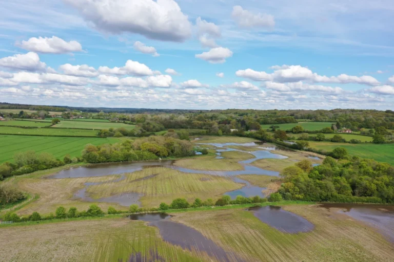Amazon announces new project in the Thames River Basin to replenish over 200 million litres of water every year