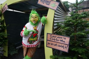 Dissecting the Grinch: What anatomy reveals about Christmas’s most famous villain