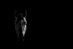 Lloyds launches Envoy platform for building and sharing AI agents