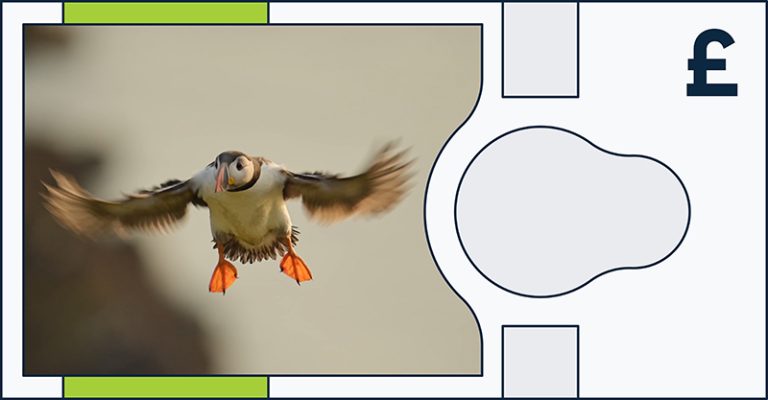 Mini Puffin Pattern Banknote A first look at the UK’s new banknotes - HotMinute