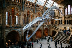 UK to explore charging international visitors at national museums