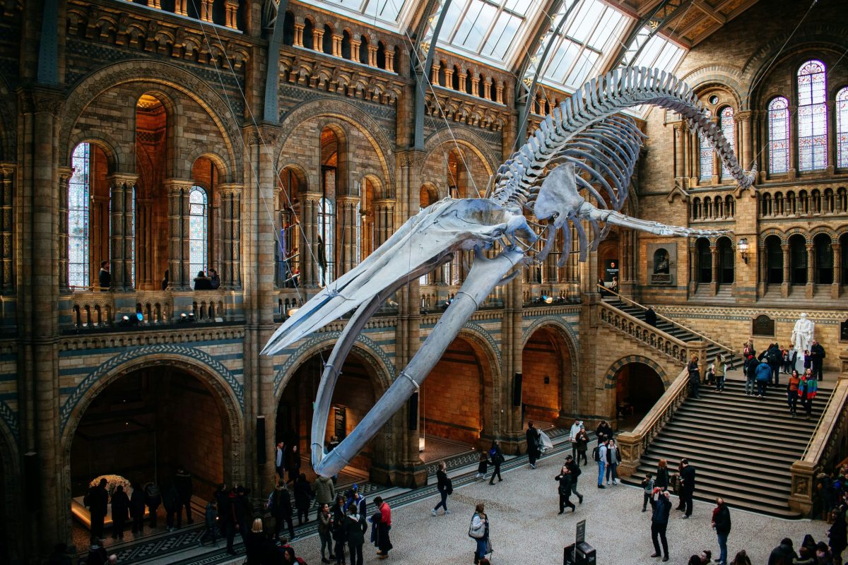 UK to explore charging international visitors at national museums