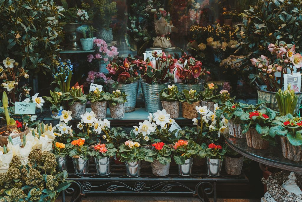 Want to know how badly Brits are struggling financially? Look at how many flowers they are buying
