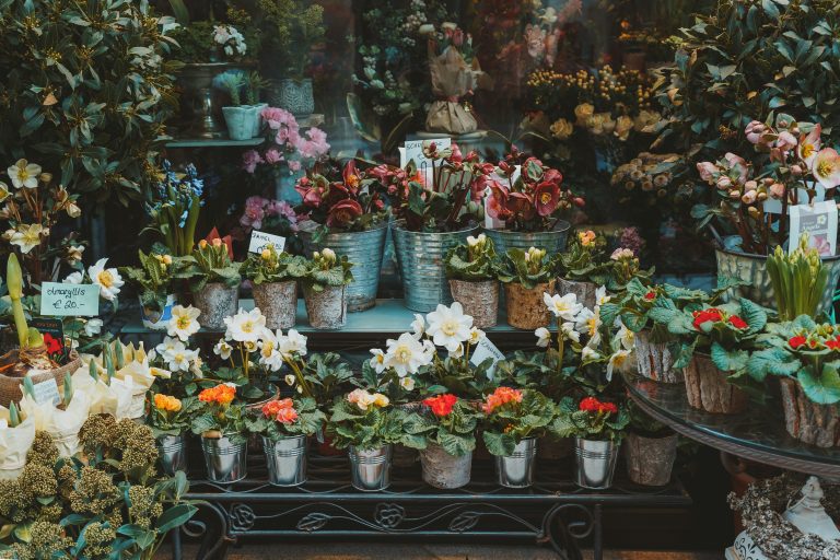 Want to know how badly Brits are struggling financially? Look at how many flowers they are buying