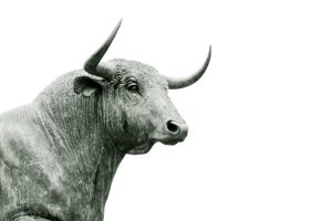 The best-performing share on the London market since 2013 – up 12,000%