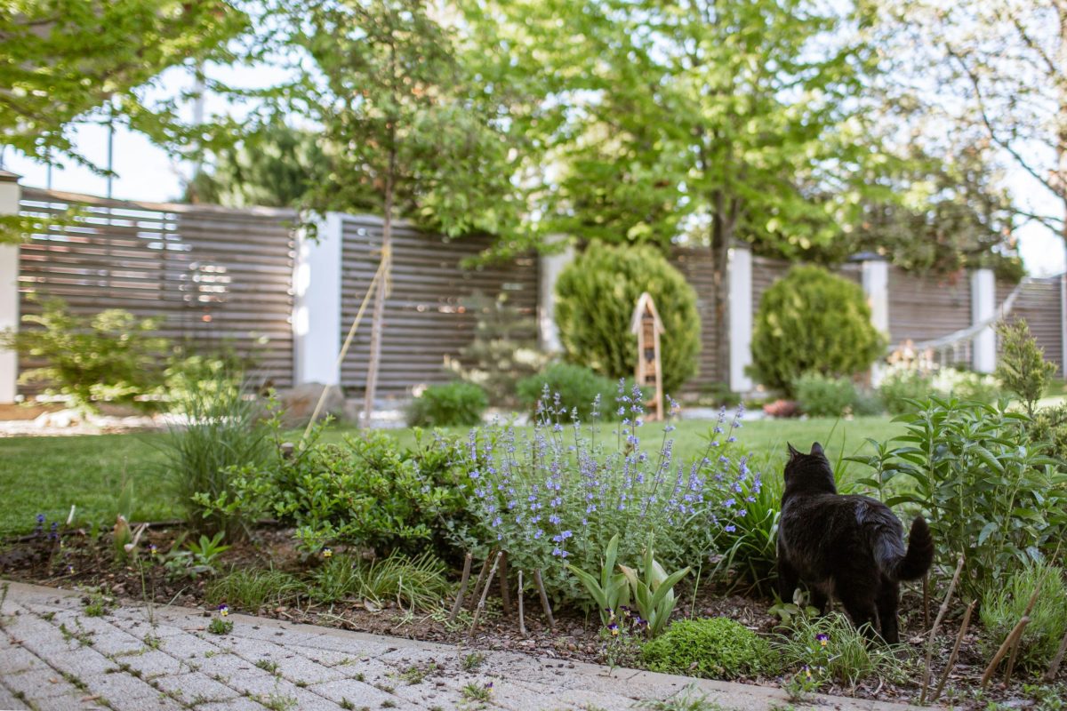 New UK planning rules – what you can now build in your own back garden