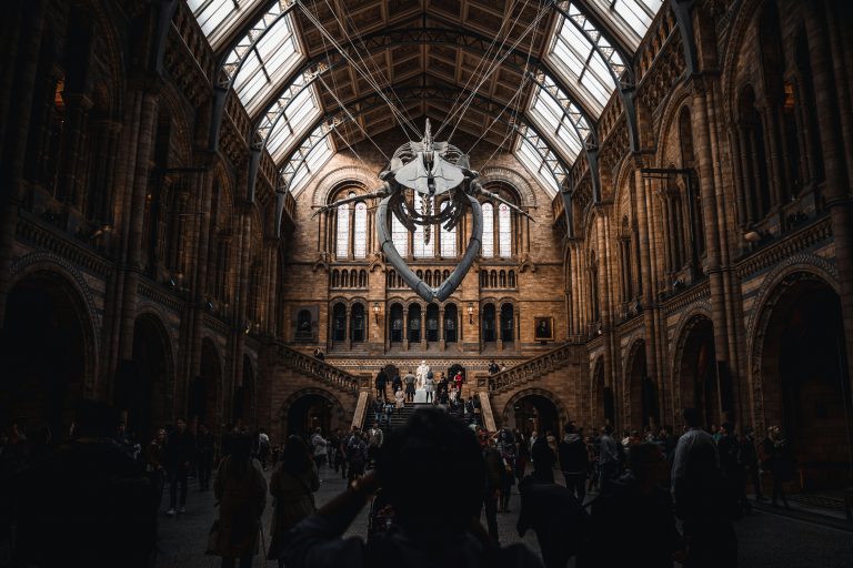 Government drops plan to charge tourists at England’s biggest museums