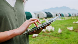 Lincolnshire testing Starlink on its farms